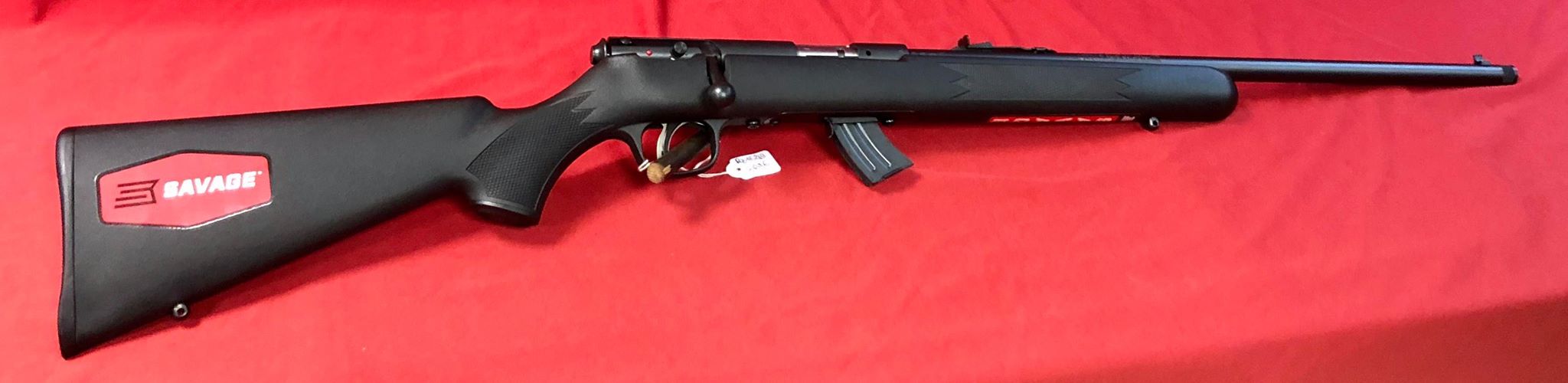 Carabine Savage composite noir en 22LR